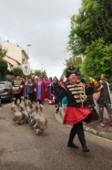 Gazenfanfare 13 * 5184 x 3456 * (6.84MB)